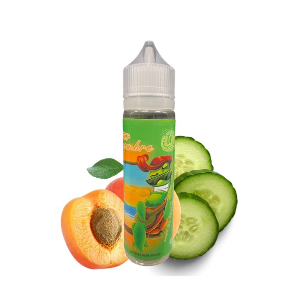 Chubby 50 ml Mister Concombre by 2G Juices